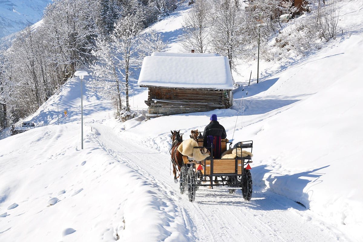 Pferdeschlittenfahrten - Winterurlaub im Salzburger Land